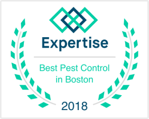 ma_boston_pest-control_2018