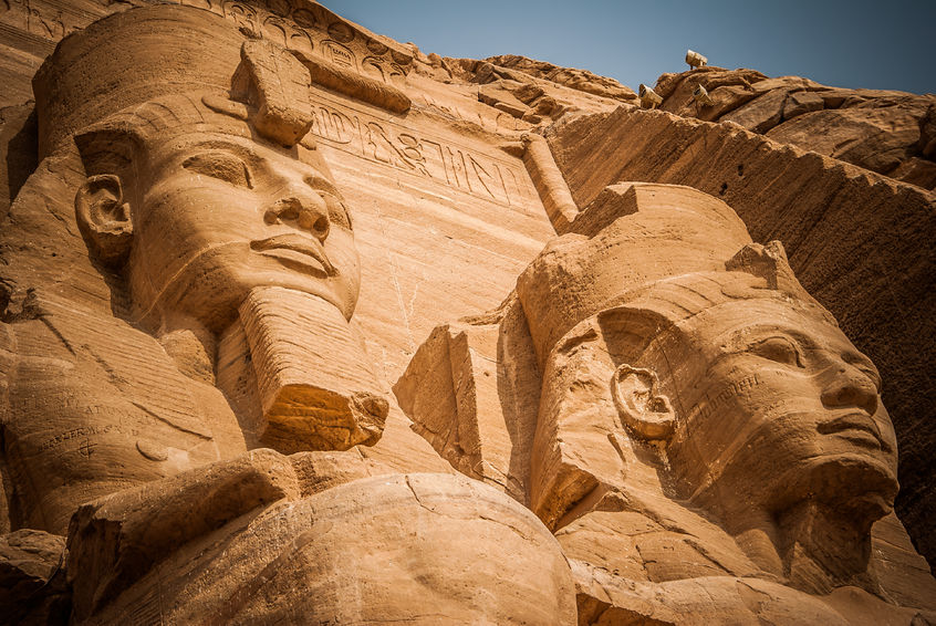 The Several Species Of Insects Found On Mummies Indicates That Insect Pests Were A Problem In Ancient Egypt